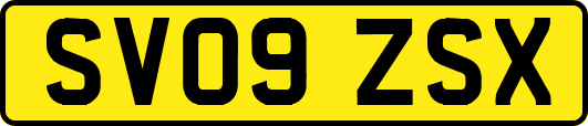 SV09ZSX