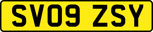 SV09ZSY