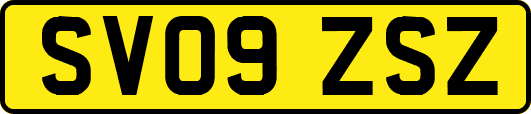 SV09ZSZ
