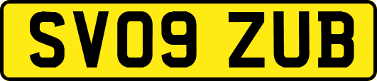 SV09ZUB