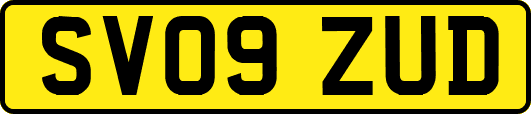 SV09ZUD