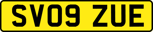 SV09ZUE