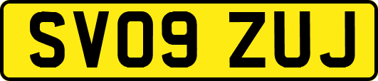 SV09ZUJ