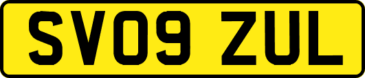 SV09ZUL