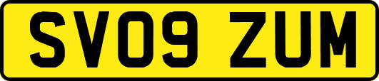 SV09ZUM
