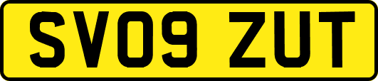 SV09ZUT