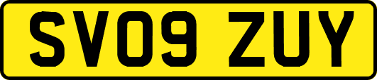 SV09ZUY
