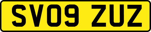 SV09ZUZ