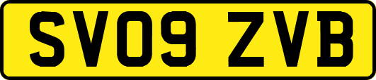 SV09ZVB