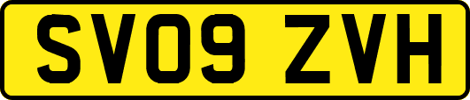 SV09ZVH