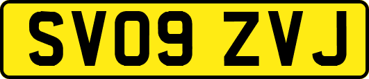 SV09ZVJ