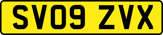 SV09ZVX