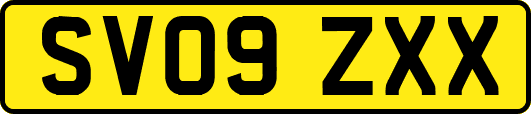 SV09ZXX