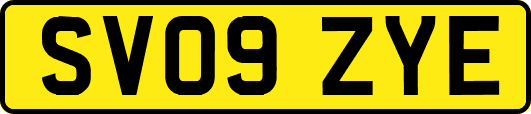 SV09ZYE