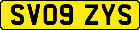 SV09ZYS
