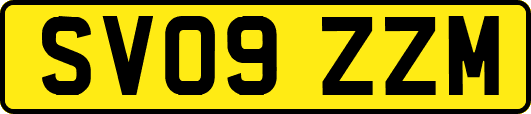 SV09ZZM