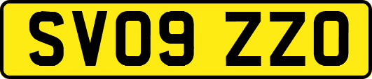 SV09ZZO
