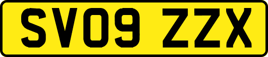 SV09ZZX