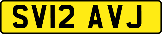 SV12AVJ