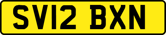 SV12BXN