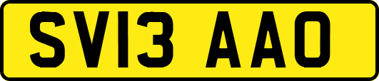 SV13AAO