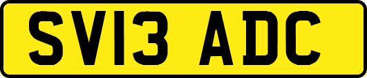 SV13ADC