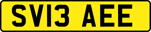 SV13AEE