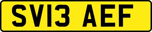 SV13AEF