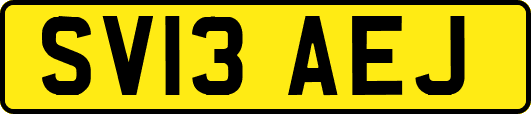 SV13AEJ