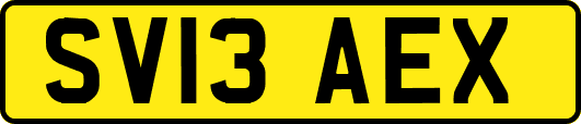 SV13AEX