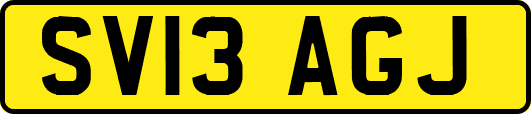 SV13AGJ