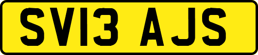 SV13AJS