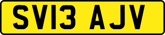 SV13AJV