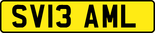 SV13AML