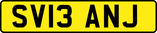 SV13ANJ
