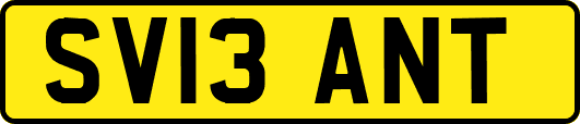 SV13ANT