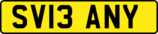 SV13ANY
