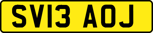 SV13AOJ