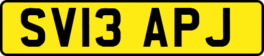 SV13APJ
