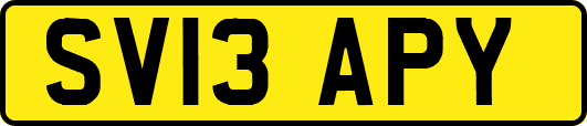 SV13APY