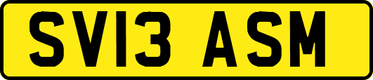 SV13ASM