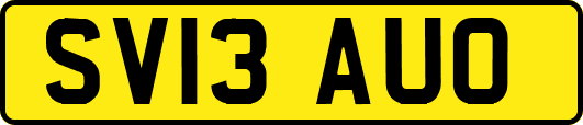 SV13AUO