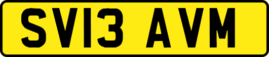 SV13AVM