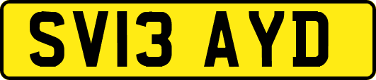 SV13AYD