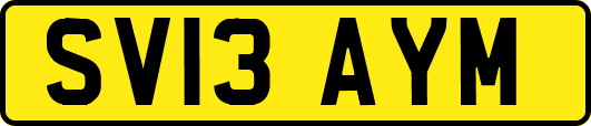 SV13AYM