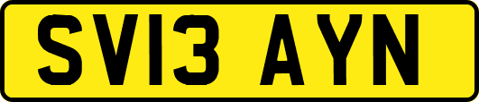 SV13AYN
