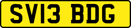 SV13BDG