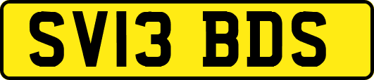 SV13BDS