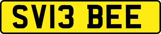 SV13BEE