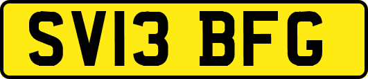 SV13BFG
